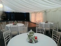 The Marquee Company 1063566 Image 1